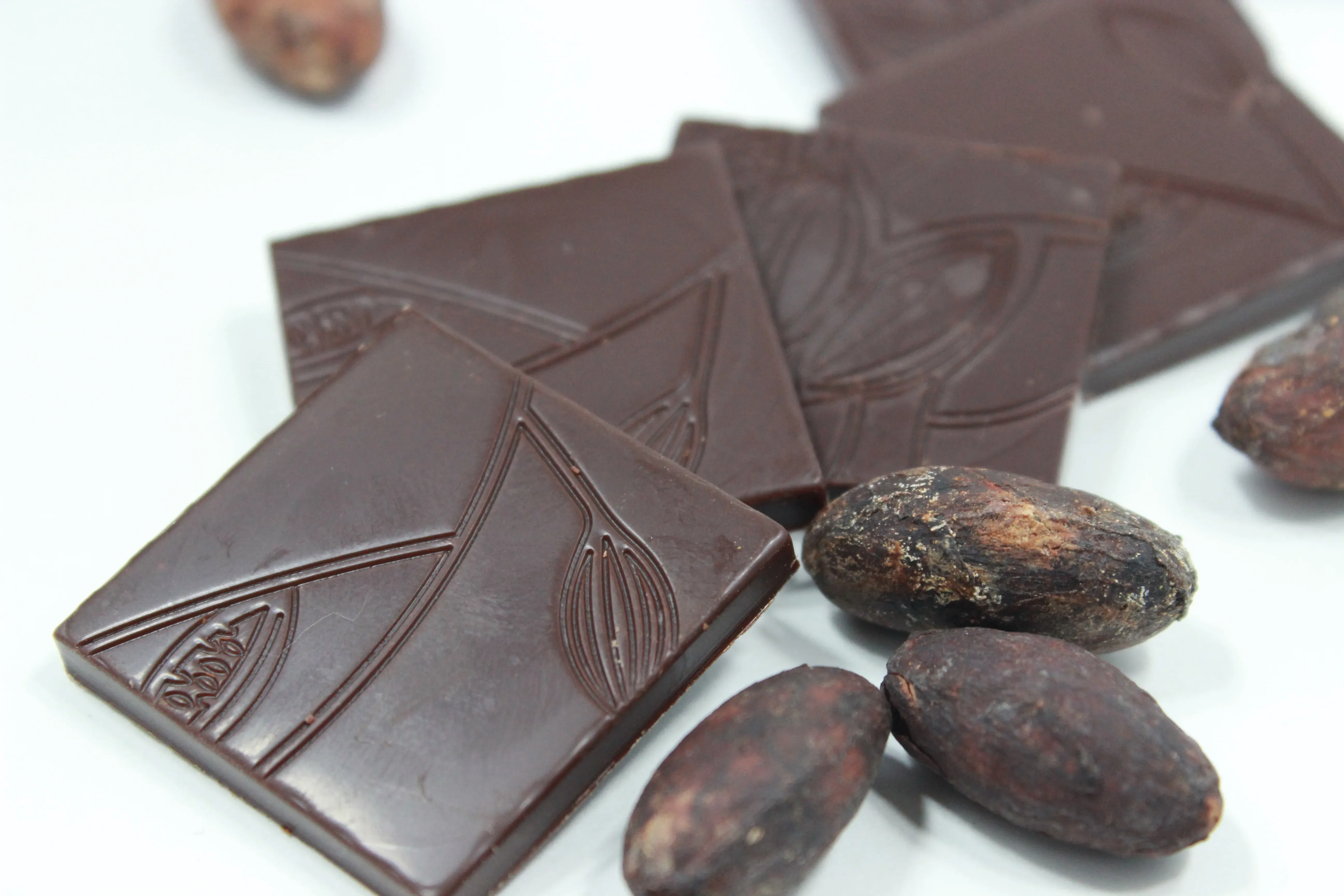 カカオ豆から手がける
bean to bar のショコラ
